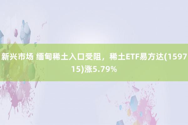 新兴市场 缅甸稀土入口受阻，稀土ETF易方达(159715)涨5.79%