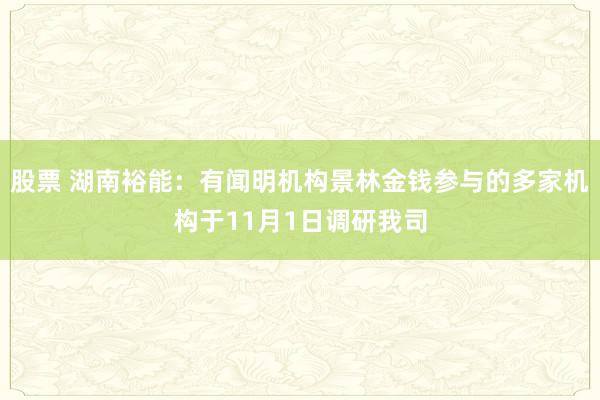 股票 湖南裕能：有闻明机构景林金钱参与的多家机构于11月1日调研我司