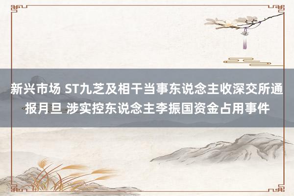 新兴市场 ST九芝及相干当事东说念主收深交所通报月旦 涉实控东说念主李振国资金占用事件