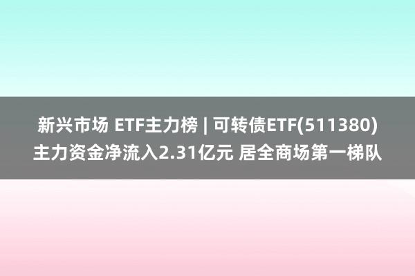 新兴市场 ETF主力榜 | 可转债ETF(511380)主力资金净流入2.31亿元 居全商场第一梯队