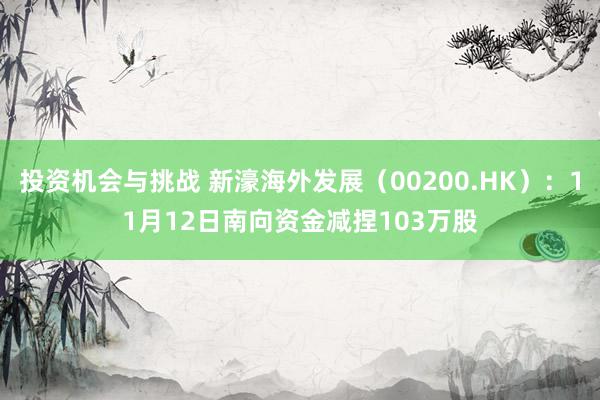 投资机会与挑战 新濠海外发展（00200.HK）：11月12日南向资金减捏103万股