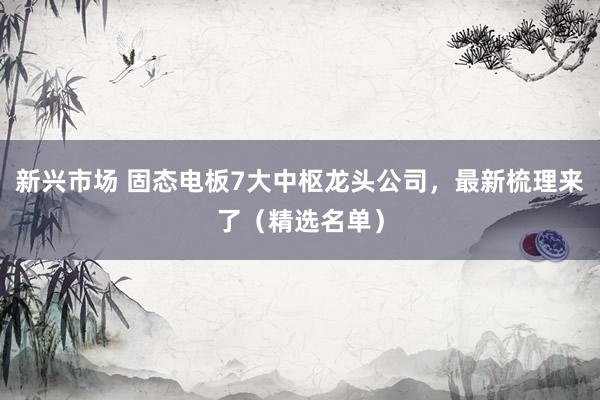 新兴市场 固态电板7大中枢龙头公司，最新梳理来了（精选名单）