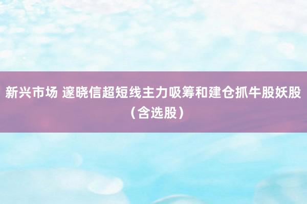 新兴市场 邃晓信超短线主力吸筹和建仓抓牛股妖股（含选股）