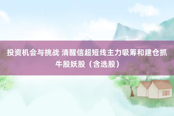 投资机会与挑战 清醒信超短线主力吸筹和建仓抓牛股妖股（含选股）