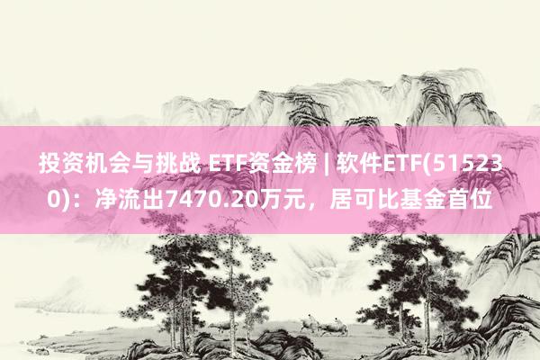 投资机会与挑战 ETF资金榜 | 软件ETF(515230)：净流出7470.20万元，居可比基金首位