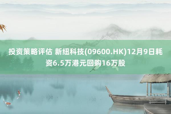 投资策略评估 新纽科技(09600.HK)12月9日耗资6.5万港元回购16万股