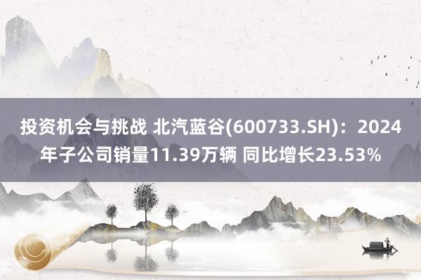 投资机会与挑战 北汽蓝谷(600733.SH)：2024年子公司销量11.39万辆 同比增长23.53%