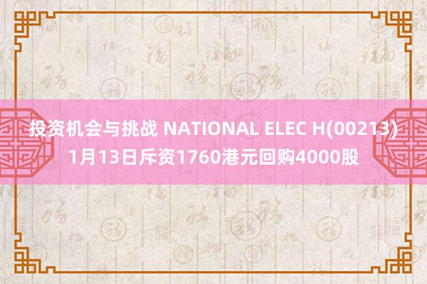 投资机会与挑战 NATIONAL ELEC H(00213)1月13日斥资1760港元回购4000股