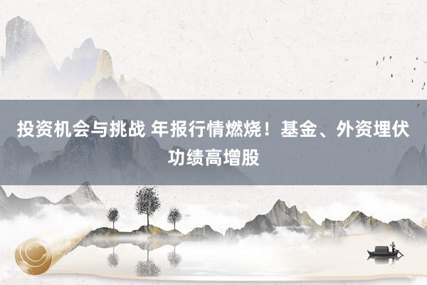 投资机会与挑战 年报行情燃烧！基金、外资埋伏功绩高增股