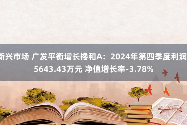 新兴市场 广发平衡增长搀和A：2024年第四季度利润-5643.43万元 净值增长率-3.78%