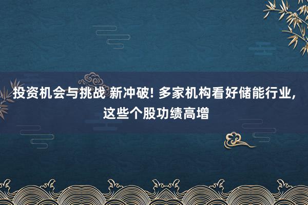 投资机会与挑战 新冲破! 多家机构看好储能行业, 这些个股功绩高增