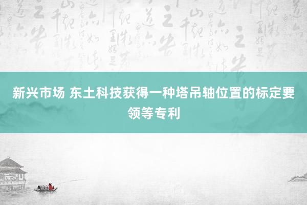 新兴市场 东土科技获得一种塔吊轴位置的标定要领等专利