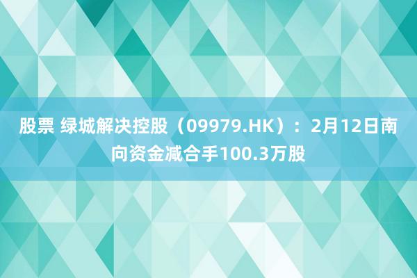 股票 绿城解决控股（09979.HK）：2月12日南向资金减合手100.3万股