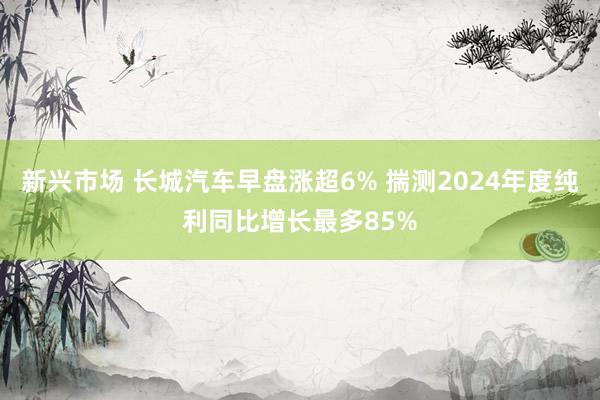 新兴市场 长城汽车早盘涨超6% 揣测2024年度纯利同比增长最多85%