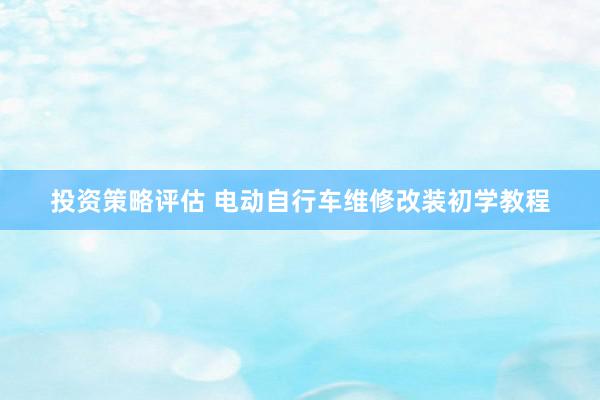 投资策略评估 电动自行车维修改装初学教程