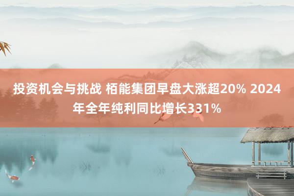 投资机会与挑战 栢能集团早盘大涨超20% 2024年全年纯利同比增长331%