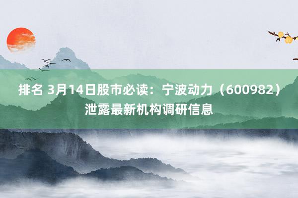 排名 3月14日股市必读：宁波动力（600982）泄露最新机构调研信息